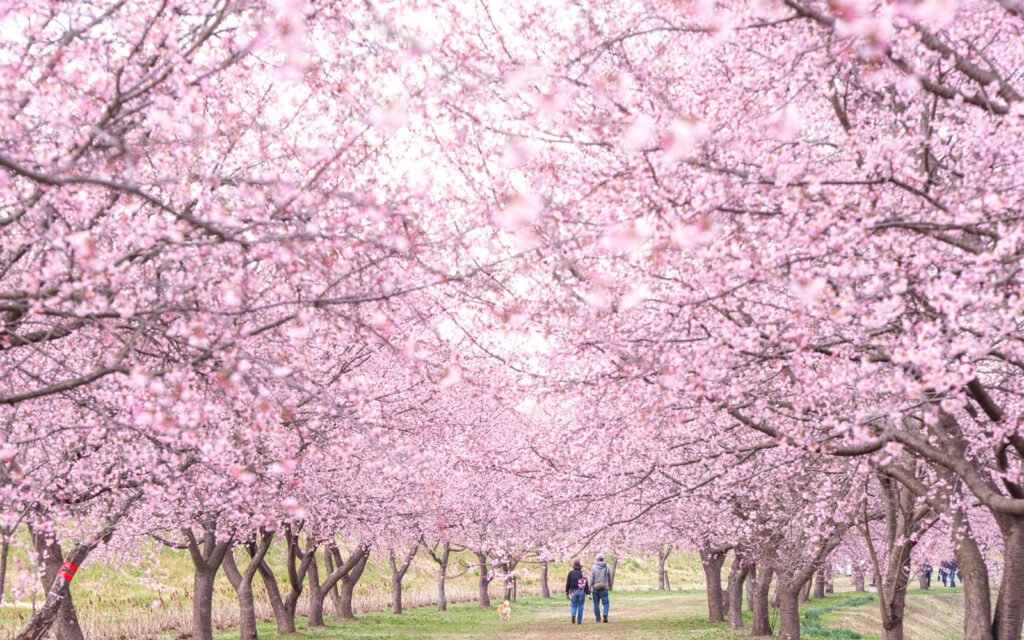 🌳 사이타마현 현민건강복지촌 이미지 6